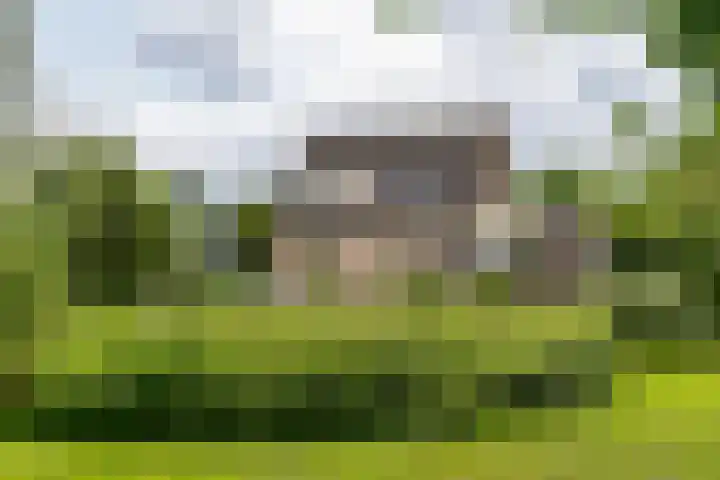 Overheicop 68 b Schoonrewoerd thumbnail 43