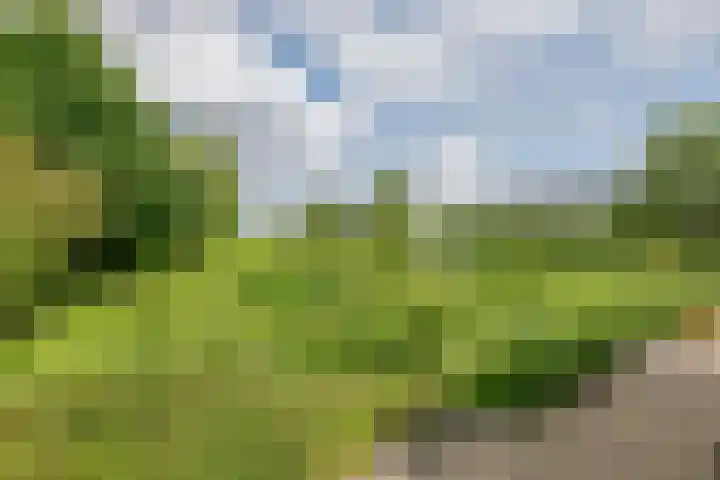 Overheicop 68 b Schoonrewoerd thumbnail 44