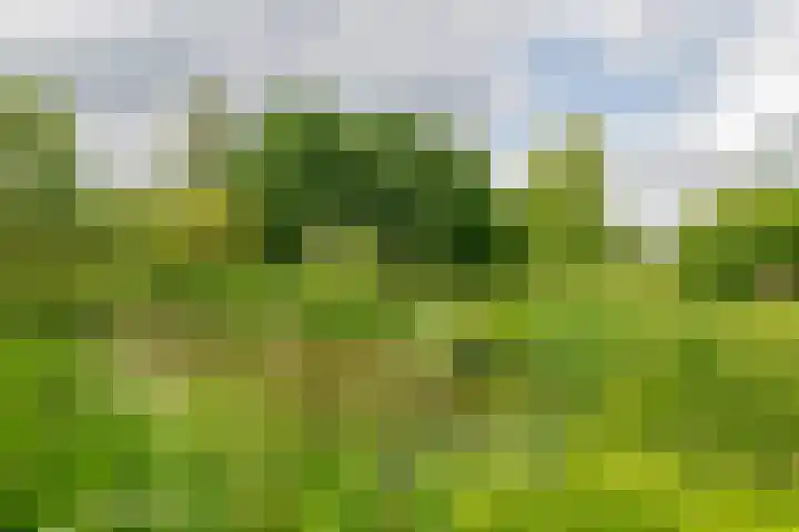 Overheicop 68 b Schoonrewoerd thumbnail 46