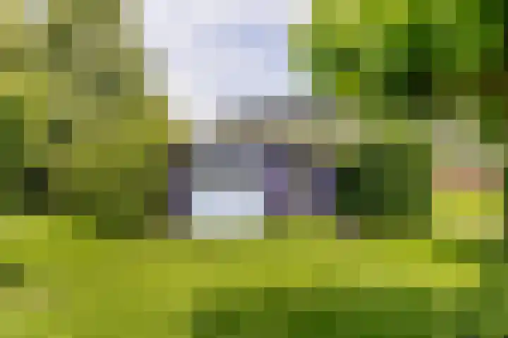 Overheicop 68 b Schoonrewoerd thumbnail 48