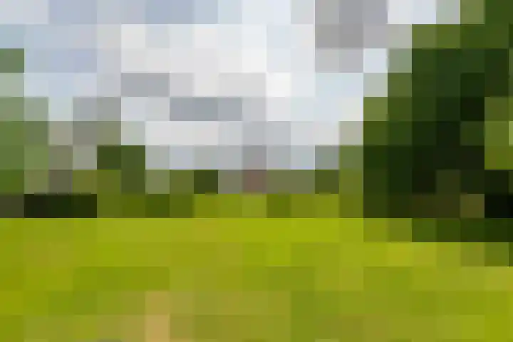 Overheicop 68 b Schoonrewoerd thumbnail 49