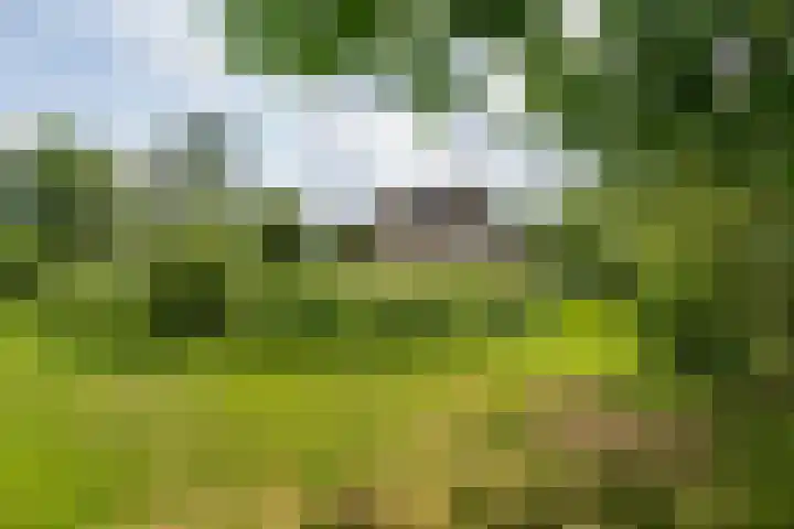 Overheicop 68 b Schoonrewoerd thumbnail 50
