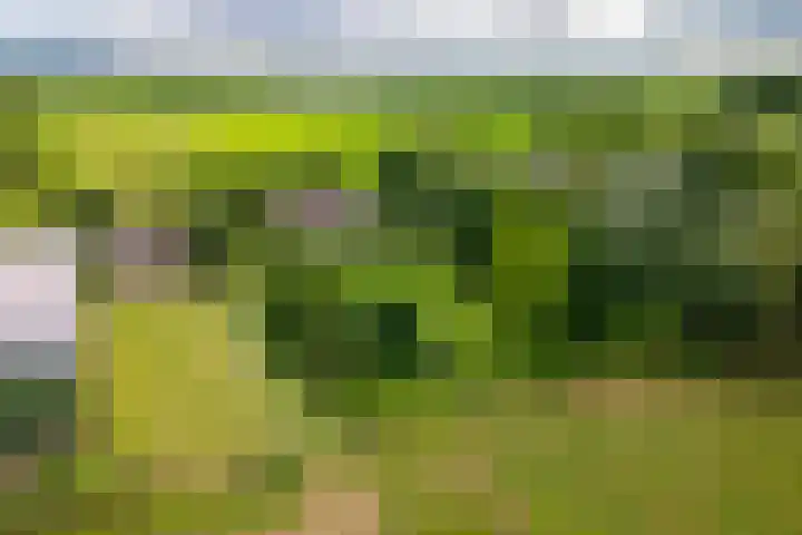 Overheicop 68 b Schoonrewoerd thumbnail 52
