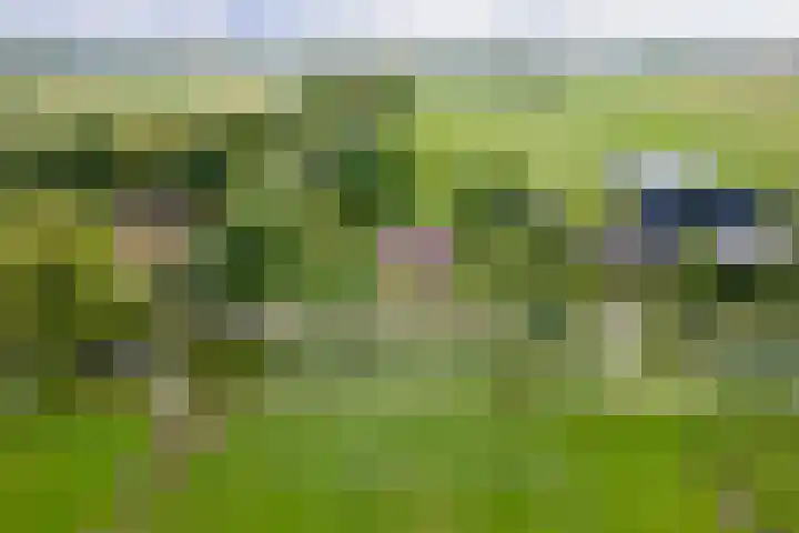 Overheicop 68 b Schoonrewoerd thumbnail 53