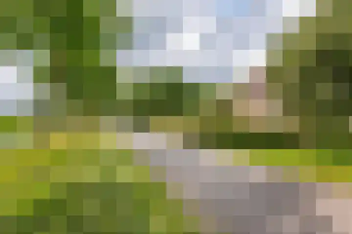 Overheicop 68 b Schoonrewoerd thumbnail 55