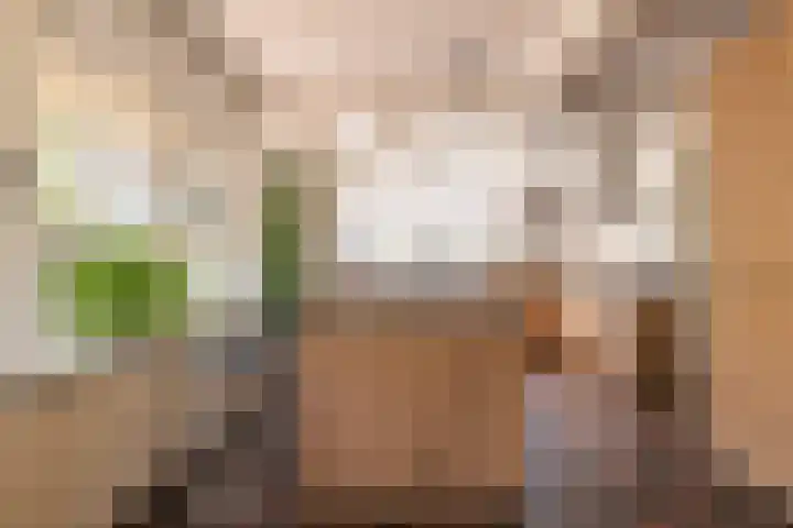 Overheicop 72 Schoonrewoerd thumbnail 16