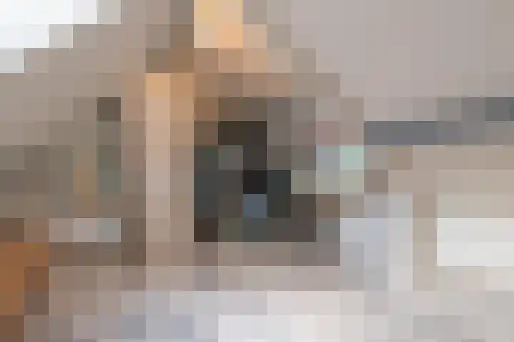 Overheicop 72 Schoonrewoerd thumbnail 26