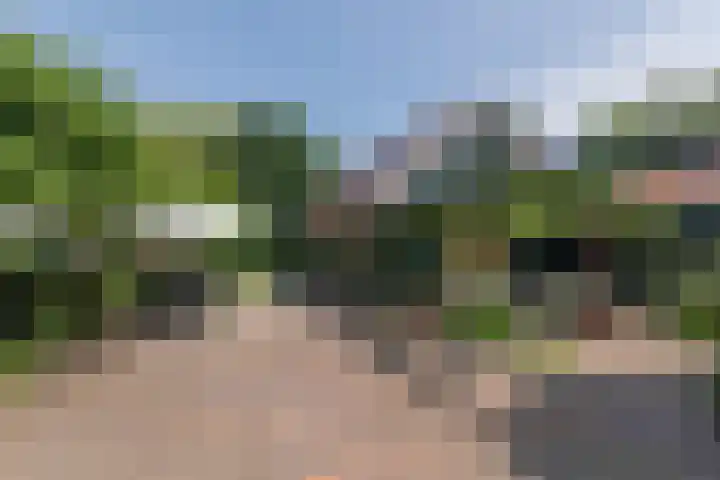 Overheicop 72 Schoonrewoerd thumbnail 31