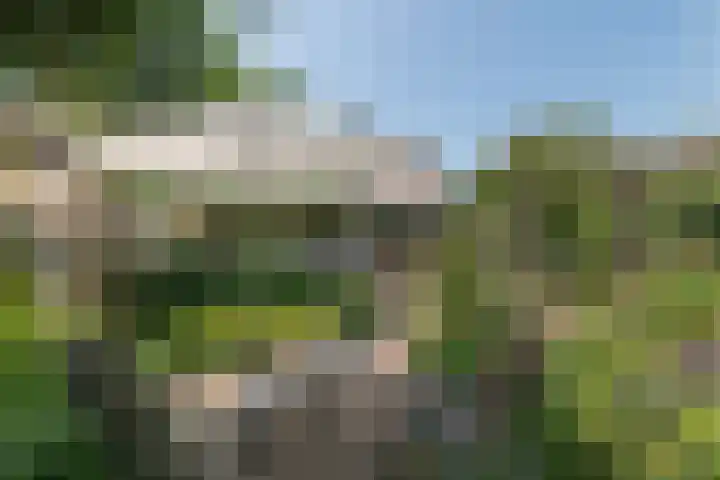 Overheicop 72 Schoonrewoerd thumbnail 39