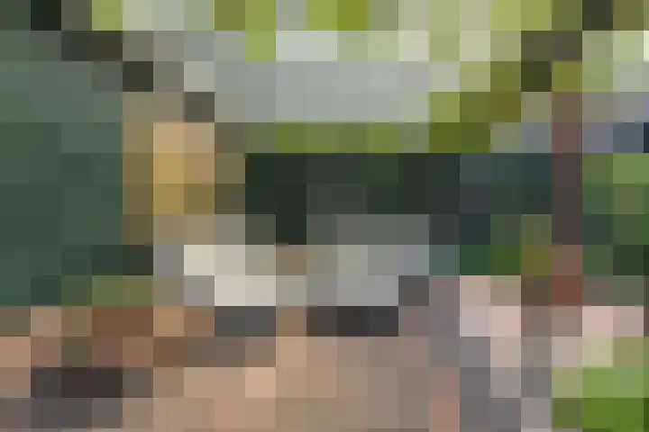 Overheicop 72 Schoonrewoerd thumbnail 41
