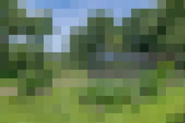 Overheicop 72 Schoonrewoerd thumbnail 42