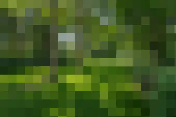 Overheicop 72 Schoonrewoerd thumbnail 44