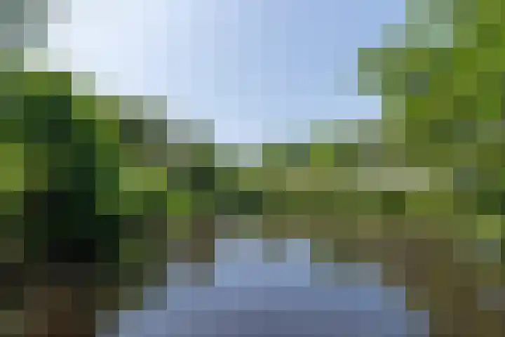Overheicop 72 Schoonrewoerd thumbnail 45