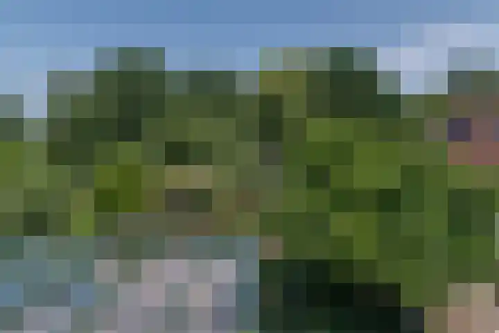 Overheicop 72 Schoonrewoerd thumbnail 46