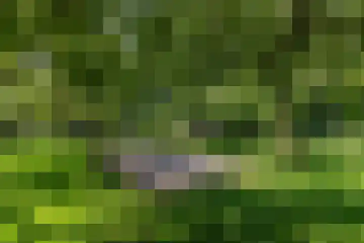 Overheicop 72 Schoonrewoerd thumbnail 47