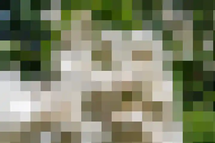 Overheicop 72 Schoonrewoerd thumbnail 49