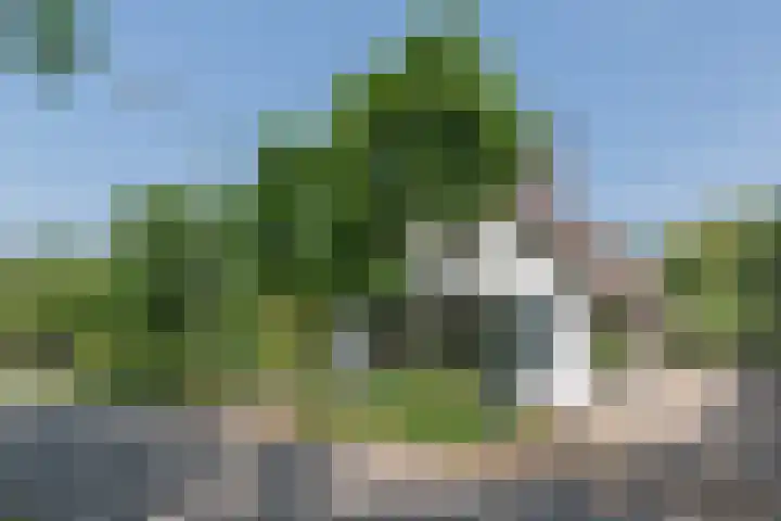 Overheicop 72 Schoonrewoerd thumbnail 5