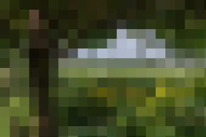 Overheicop 72 Schoonrewoerd thumbnail 50