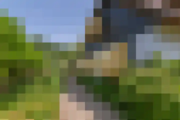 Overheicop 72 Schoonrewoerd thumbnail 53