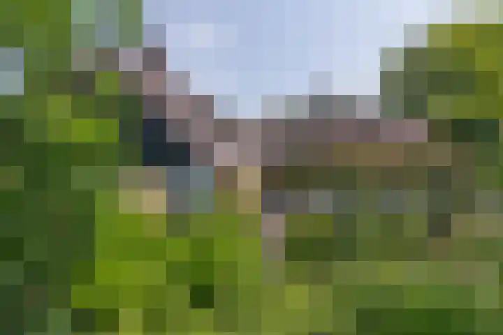 Overheicop 72 Schoonrewoerd thumbnail 54