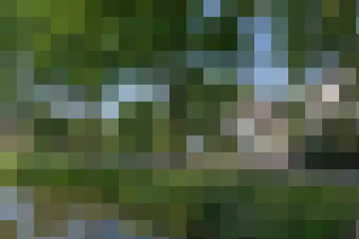 Overheicop 72 Schoonrewoerd thumbnail 56