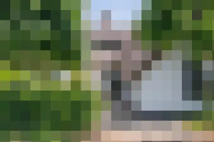 Overheicop 72 Schoonrewoerd thumbnail 6