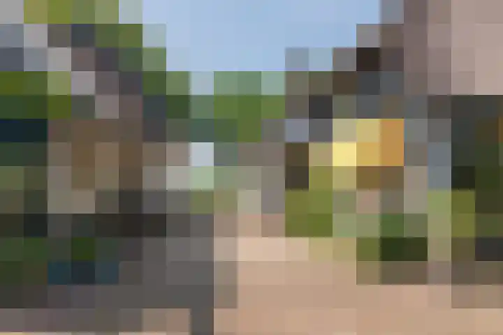 Overheicop 72 Schoonrewoerd thumbnail 7
