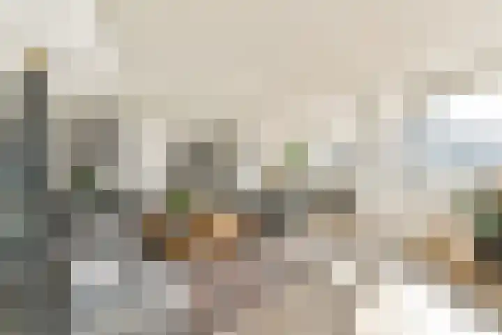 Overhoeksparklaan 10 Amsterdam thumbnail 13