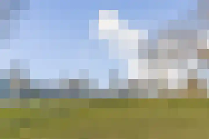 Overhoeksparklaan 10 Amsterdam thumbnail 30