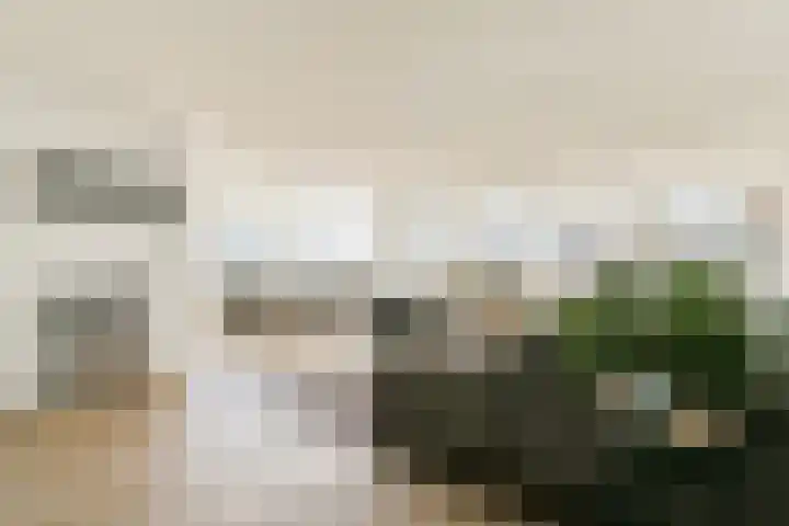 Overhoeksparklaan 10 Amsterdam thumbnail 8
