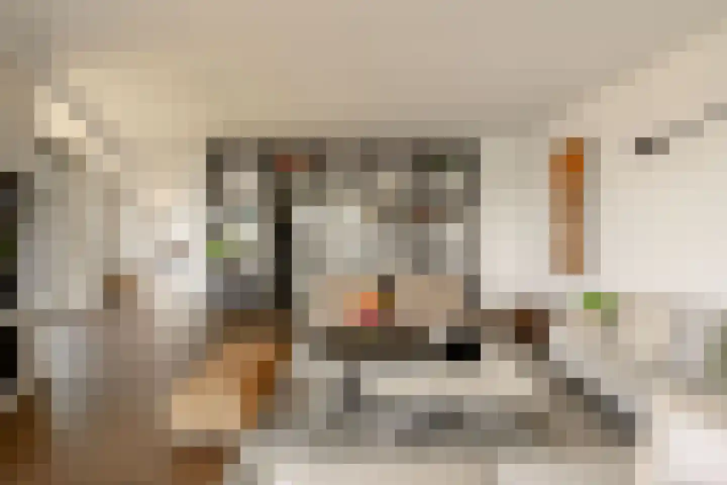 Overhoeksparklaan 124 Amsterdam thumbnail 13