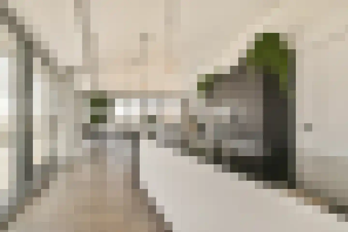 Overhoeksparklaan 124 Amsterdam thumbnail 15