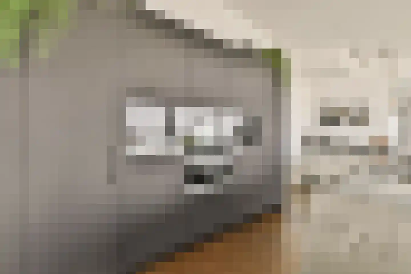 Overhoeksparklaan 124 Amsterdam thumbnail 17
