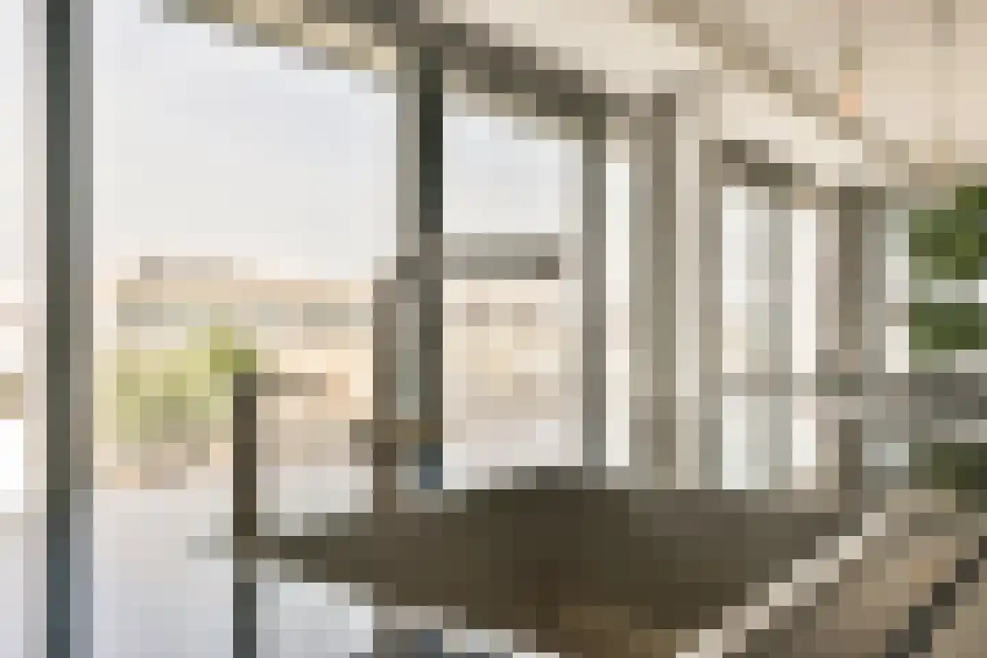Overhoeksparklaan 124 Amsterdam thumbnail 18