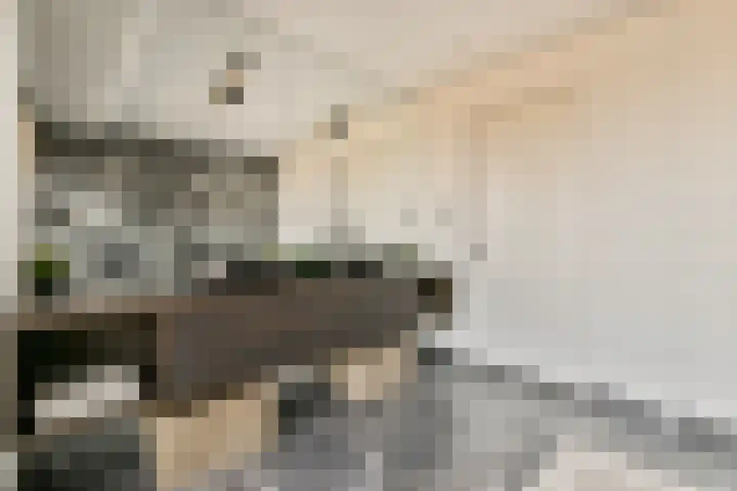 Overhoeksparklaan 124 Amsterdam thumbnail 28