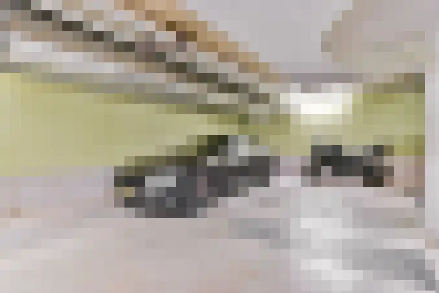 Overhoeksparklaan 124 Amsterdam thumbnail 31