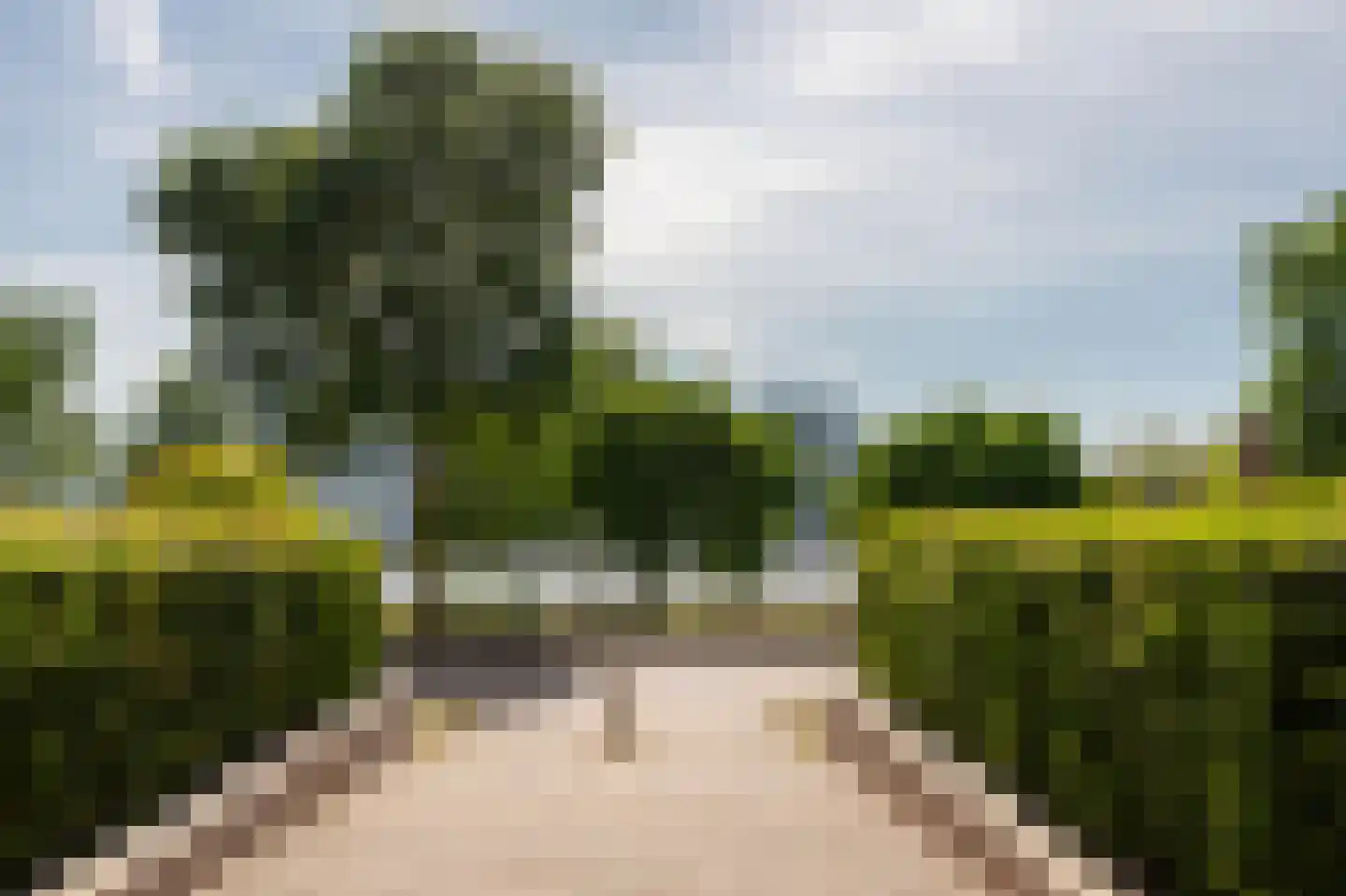 Overhoeksparklaan 124 Amsterdam thumbnail 32