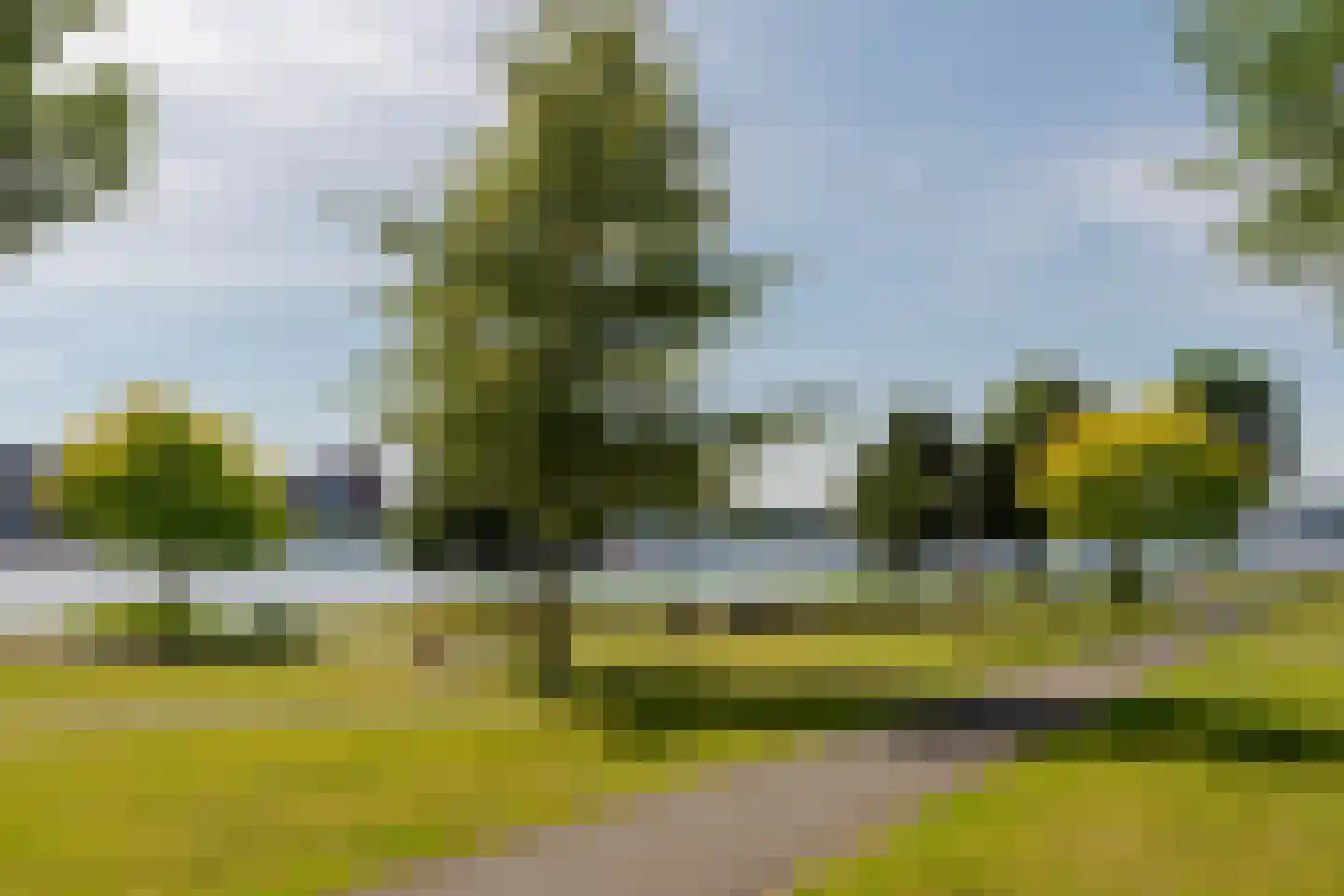 Overhoeksparklaan 124 Amsterdam thumbnail 33