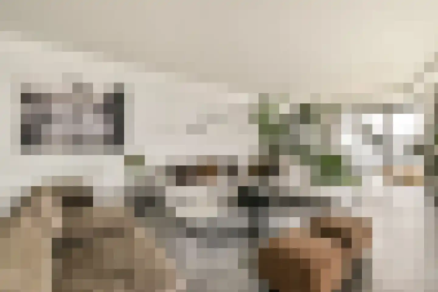 Overhoeksparklaan 124 Amsterdam thumbnail 6