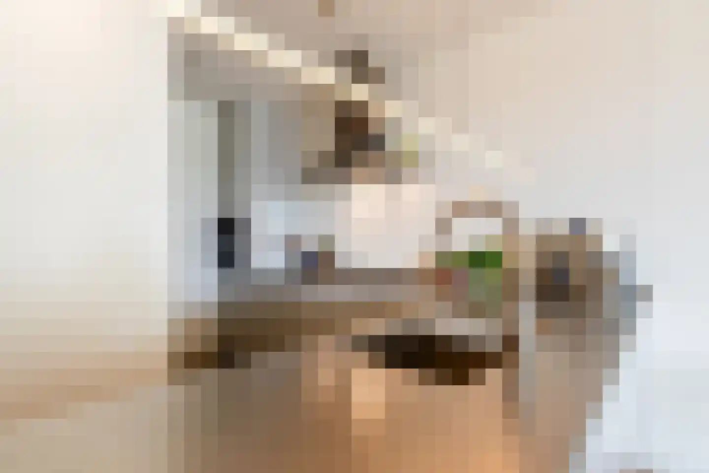 Overhoeksparklaan 154 Amsterdam thumbnail 12