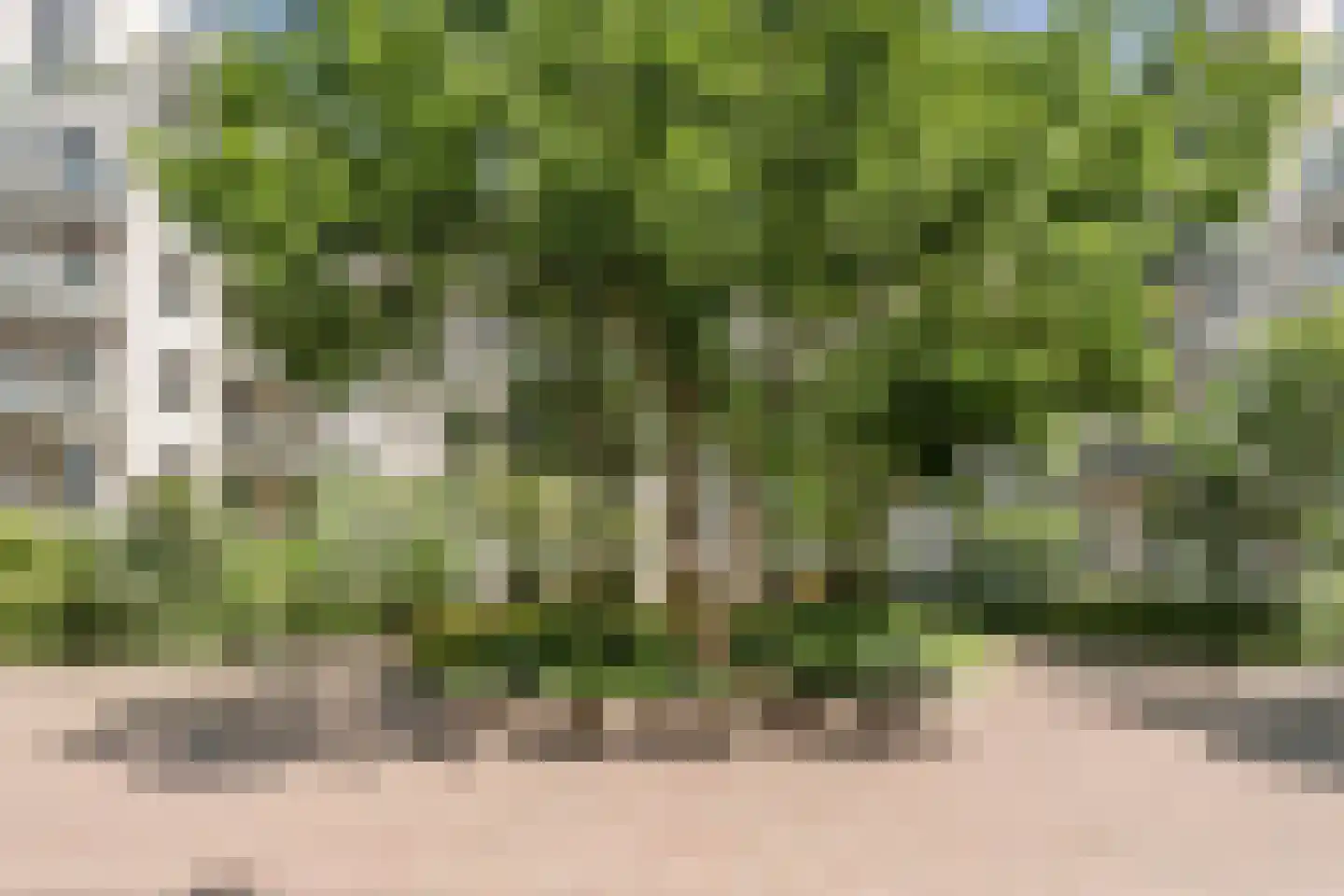 Overhoeksparklaan 200 Amsterdam thumbnail 33