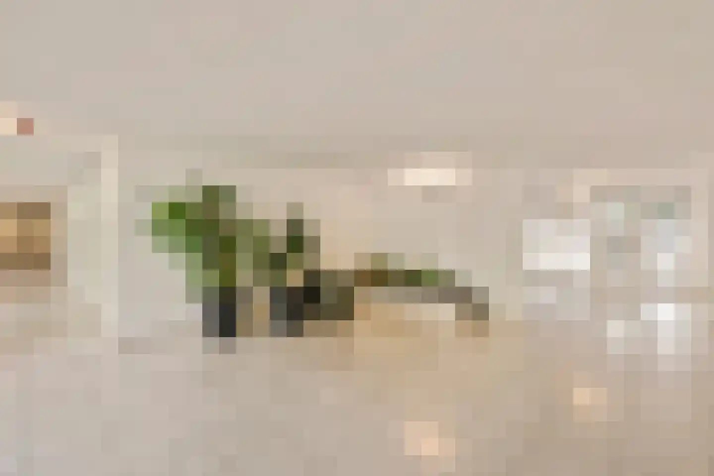Overhoeksparklaan 252 Amsterdam thumbnail 6