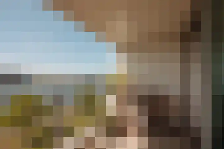 Overhoeksparklaan 258 Amsterdam thumbnail 15