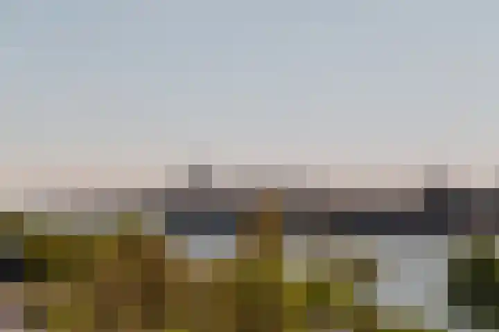 Overhoeksparklaan 258 Amsterdam thumbnail 17