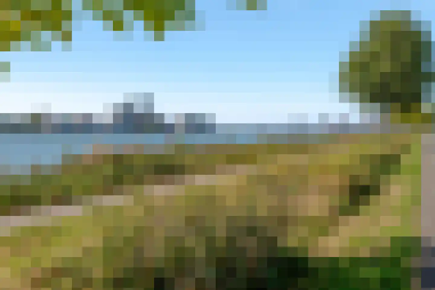 Overhoeksparklaan 286 Amsterdam thumbnail 42