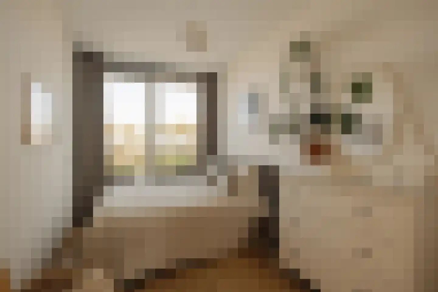 Overhoeksparklaan 290 Amsterdam thumbnail 19