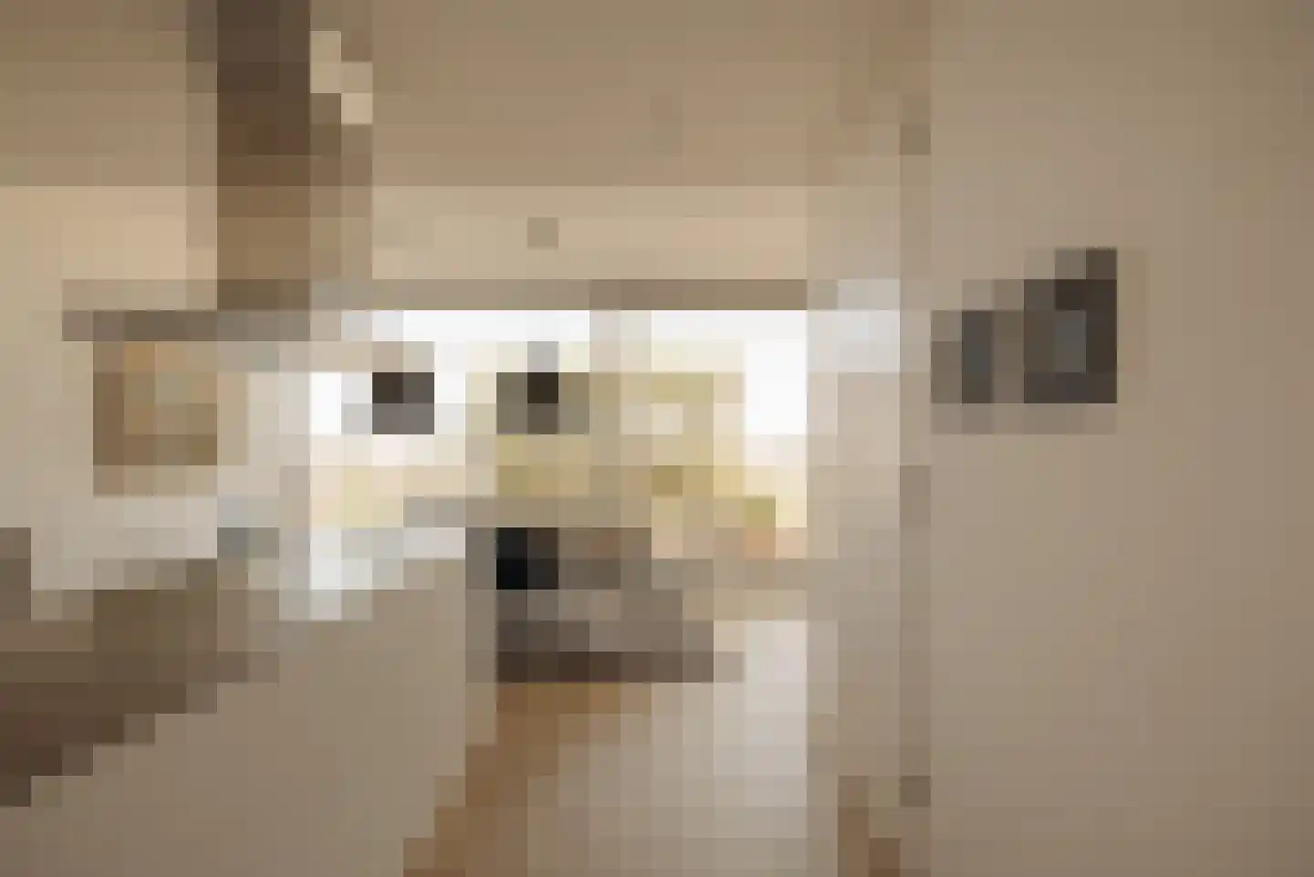 Overhoeksparklaan 290 Amsterdam thumbnail 6