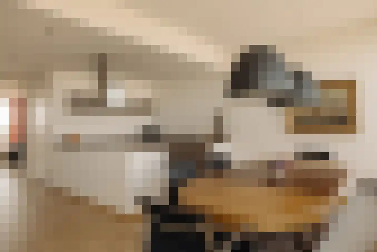 Overhoeksparklaan 290 Amsterdam thumbnail 7