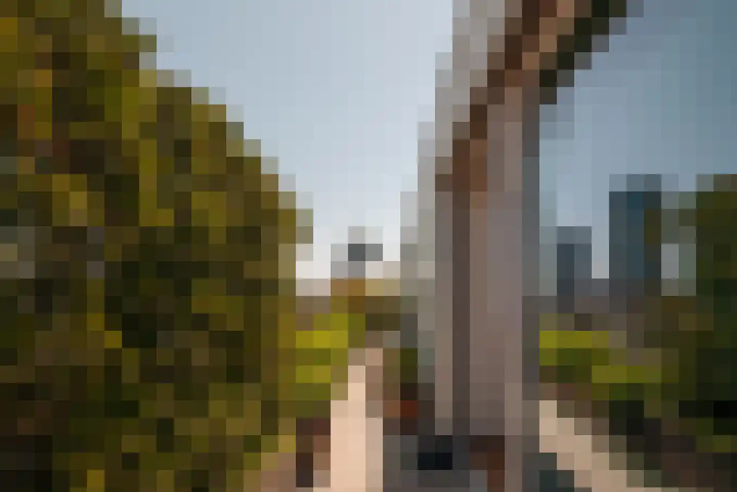 Overhoeksparklaan 290 Amsterdam thumbnail 9