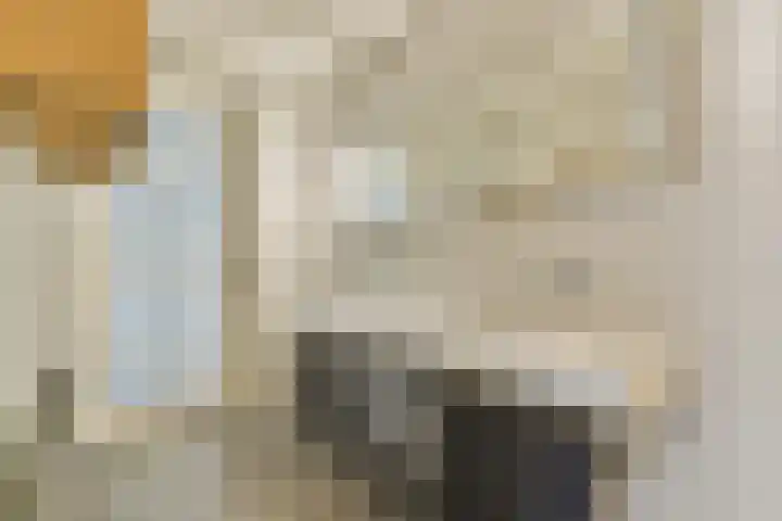 Overhoeksparklaan 36 Amsterdam thumbnail 25